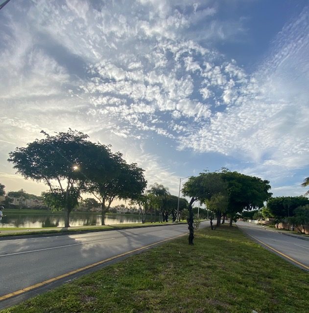 A tree-lined residential street at Coral Lakes